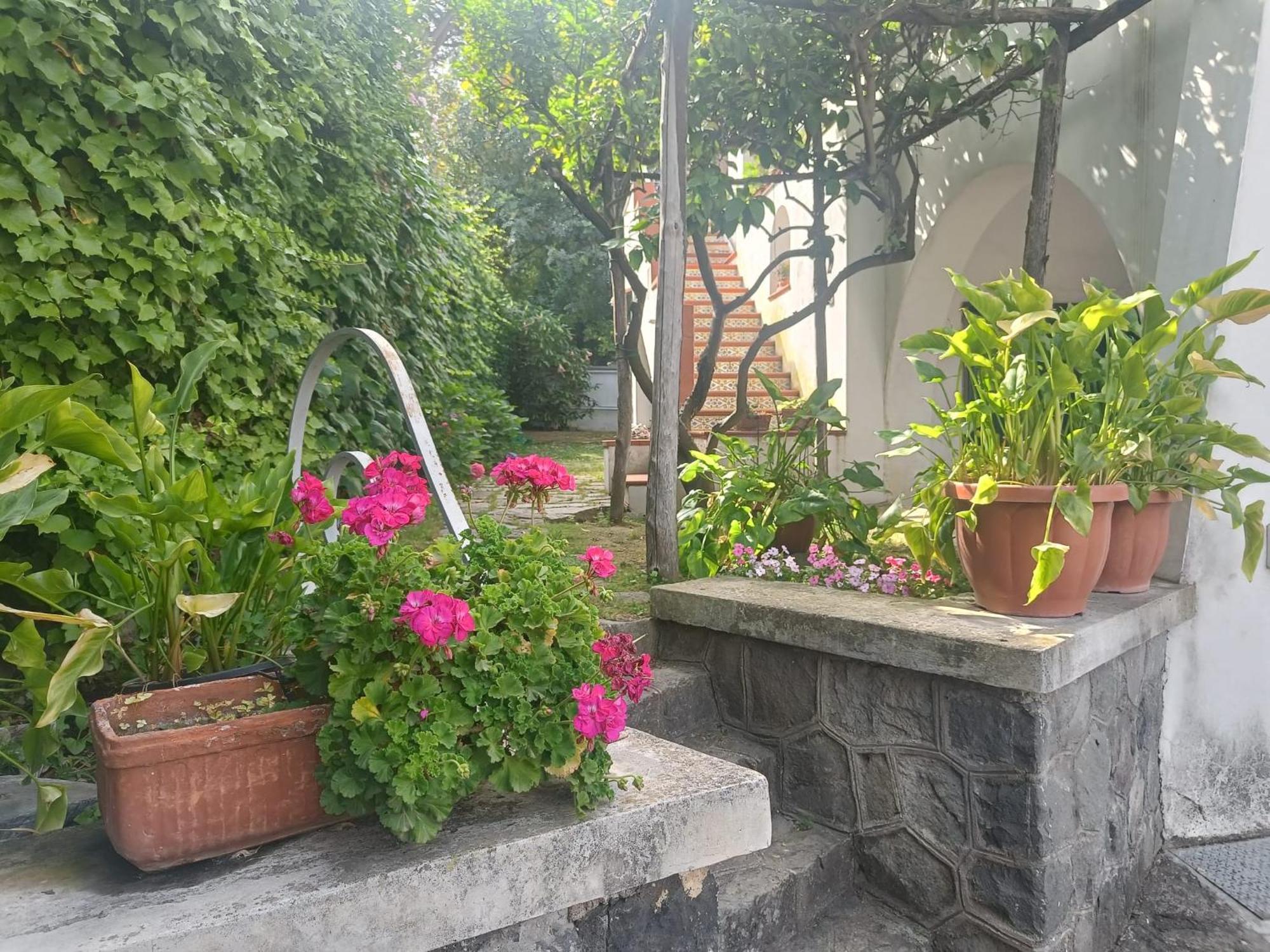Appartement Casa Olivella à Torre del Greco Extérieur photo